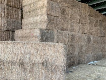 2021 Vetch Mix Hay