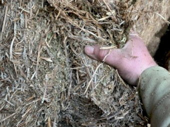 2021 Vetch Mix Hay