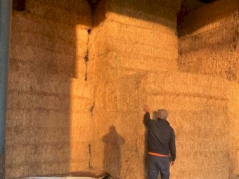 2021 Pasture Hay