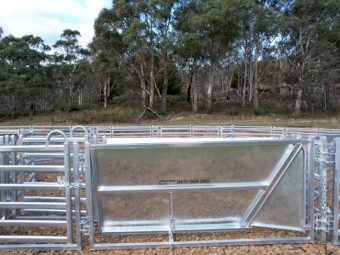 500 head Sheep Yard