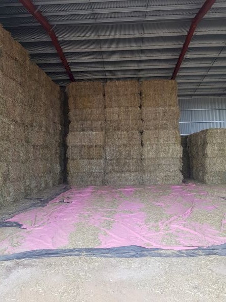 Oaten Hay 8x4x4 Bales