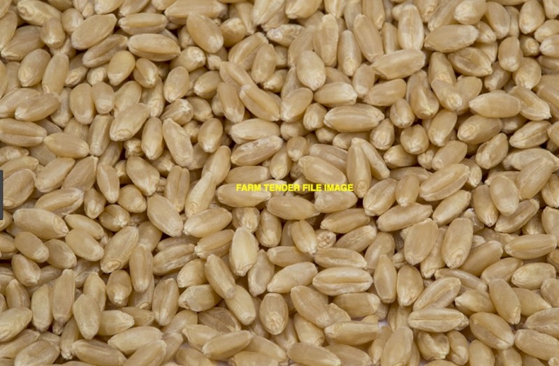 WANTED 270mt ASW Wheat (Delivered Cobram area)