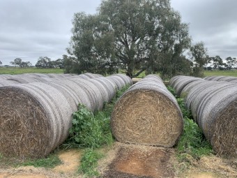 Oaten hay