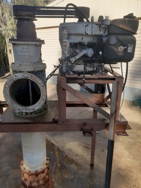 Batescrew 9" pump with Hatz Motor