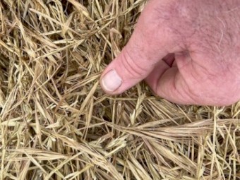 340 x Rye and Spear Grass 500kg 4x4 Silage Rolls