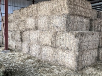 120mt Lucerne Hay 570kg 8x4x3 Bale