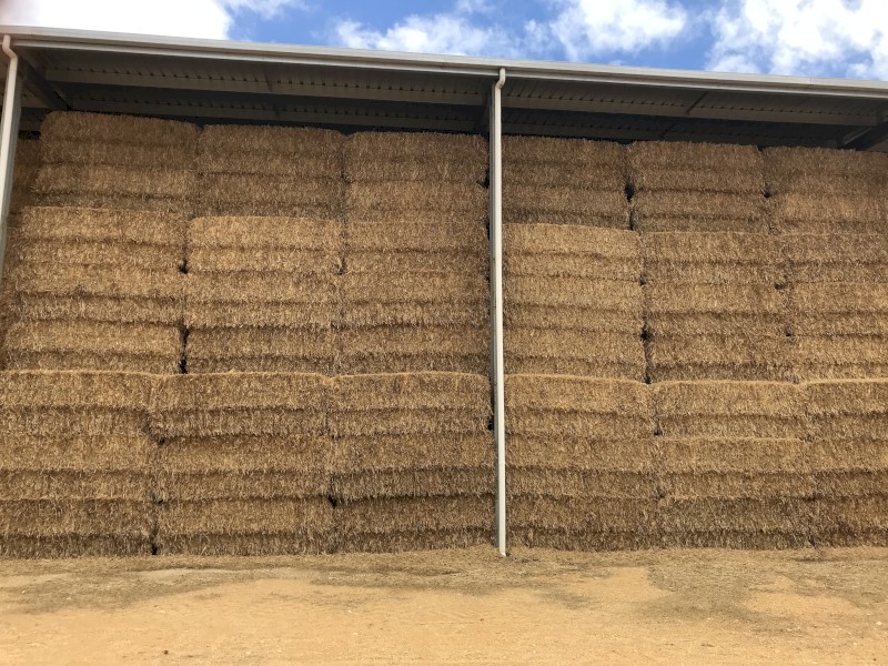 Oaten straw