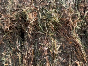 100mt Vetch Hay 550kg 8x4x3 Bales (Shedded)