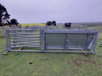 Arrowquip SHEEP DRAFTING RACE