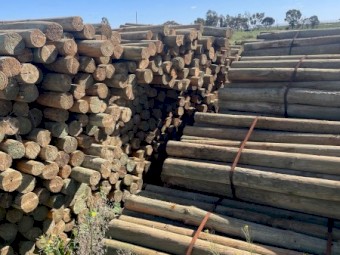 Pine Posts