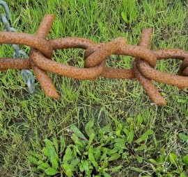 45ft Smale Prickle Chain
