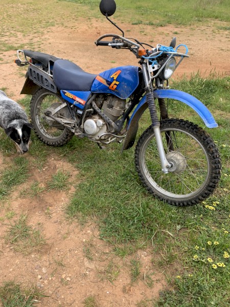 Yamaha AG 200