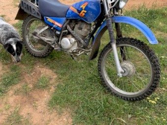 Yamaha AG 200