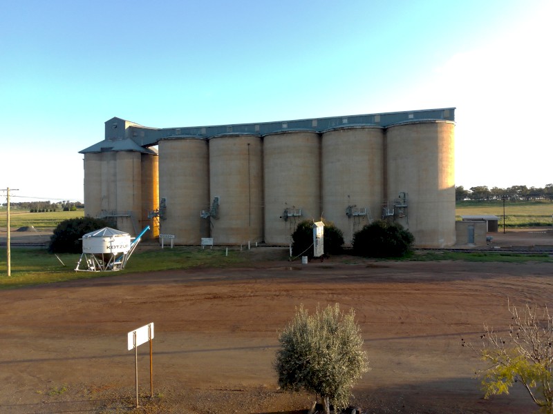 Matika oats