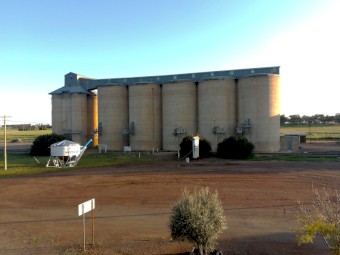 Matika oats
