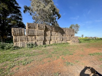 Wheat Straw - HD Bales 