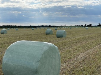 Kayhan Ertugrul Silage Wrapper