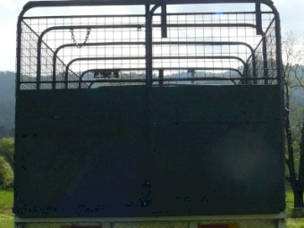 1988 Acco 1850D Livestock Truck