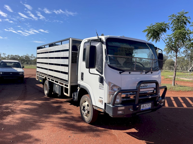 2017 Isuzu 300-155