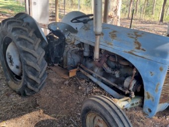 Grey Ferguson