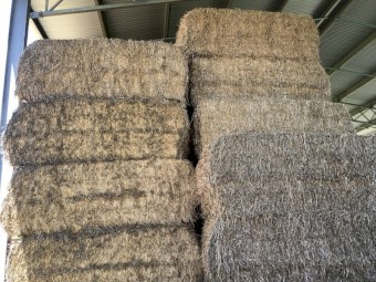 8x4x3 Lucerne Hay