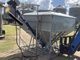 Homemade 2 T Grouper