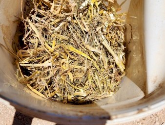 43mt Oaten Hay 8x4x3 Bales (New Season 22/23)