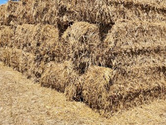 43mt Oaten Hay 8x4x3 Bales (New Season 22/23)