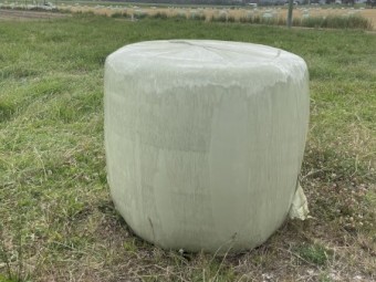 Lucerne Silage
