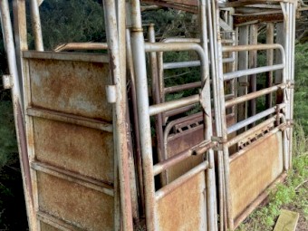 Rpm cattle crush
