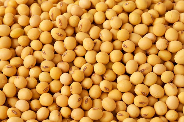 WANTED Soybeans