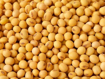 WANTED Soybeans