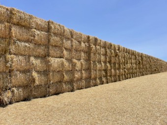 500mt Oaten Hay 6-700kg 8x4x3 Bales (New Season 22/23)
