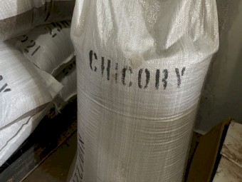 Chicory Pasture Seed