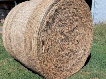  Lucerne 5x4 rolls, 