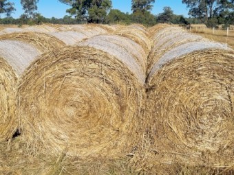 100 x Oaten/Rye Hay 5x4 Bales