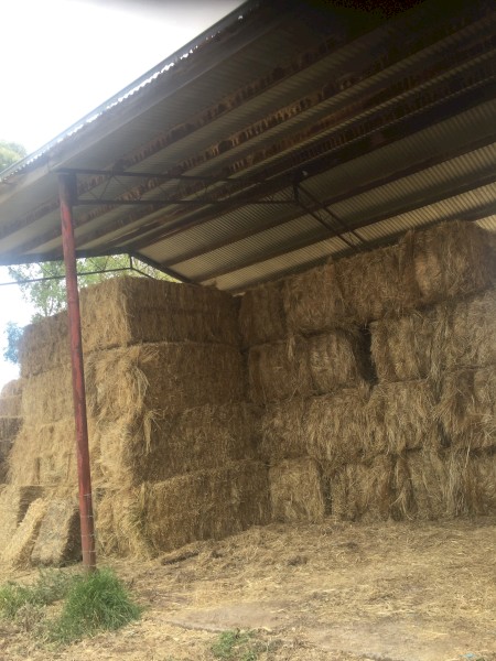 30 x Rye & Clover Mix Hay 350kg 8x3x3 Bales, Baled November 2022