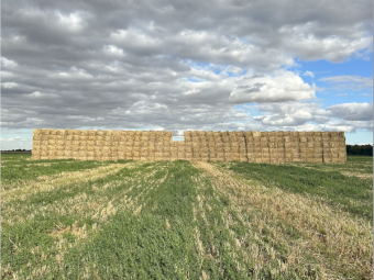 400mt Oaten Hay 8x4x3 Bales (New Season 22/23)