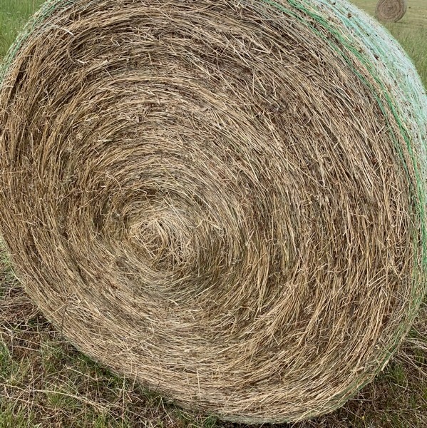 Clover and Rye Grass 5x4 Rolls