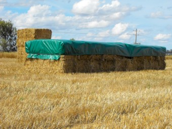 Hay Ratch-e-tarp