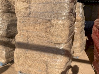 Lucerne Hay