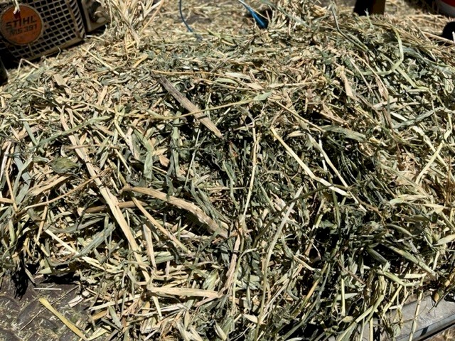 Lucerne / Oaten Hay in Small Squares