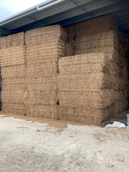 200tn Vetch Hay 600kg 8x4x3 Bales