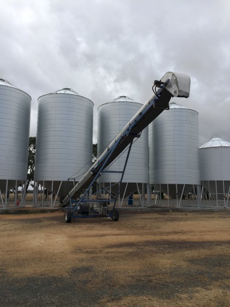 Illabo Self Propelled Grain Conveyor