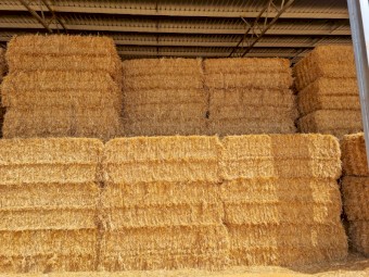 Oaten Hay 8x4x3 Bales (New Season 22/23)
