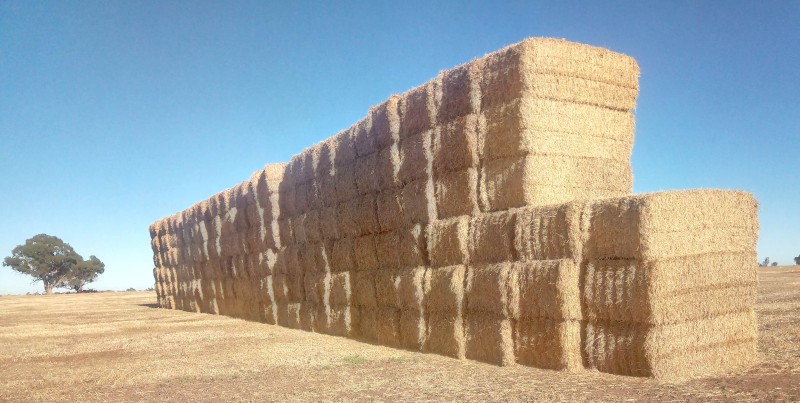 Barley Straw - 8x4x3 Bale - 22/23 Season