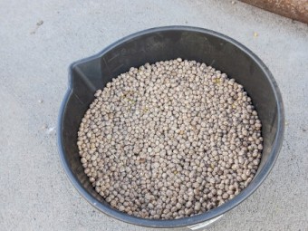 Approx 9 Tonne Mandelup Lupins