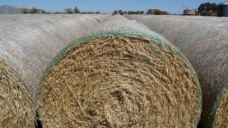 Oaten / Vetch Hay 5x4 Rolls