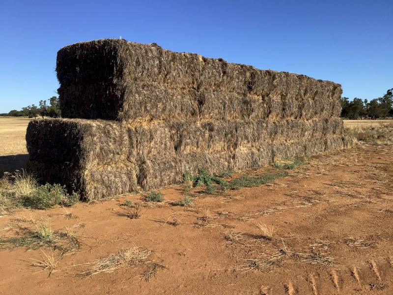 46 x Wheat&Rye Hay 8x4x3 Bales (21/22)