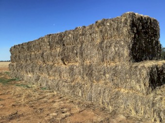 46 x Wheat&Rye Hay 8x4x3 Bales (21/22)